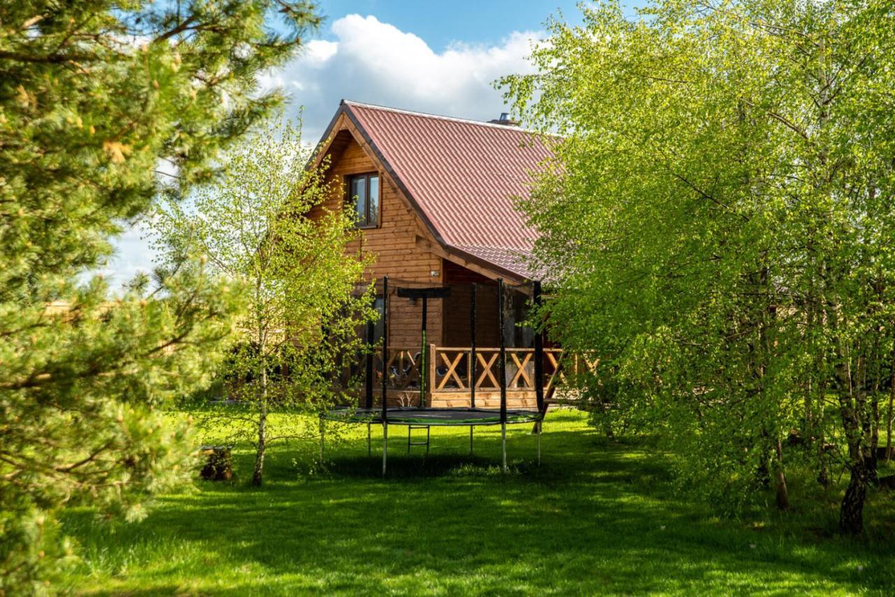 Vila Brzozowy Zakatek Dziemiany Exteriér fotografie
